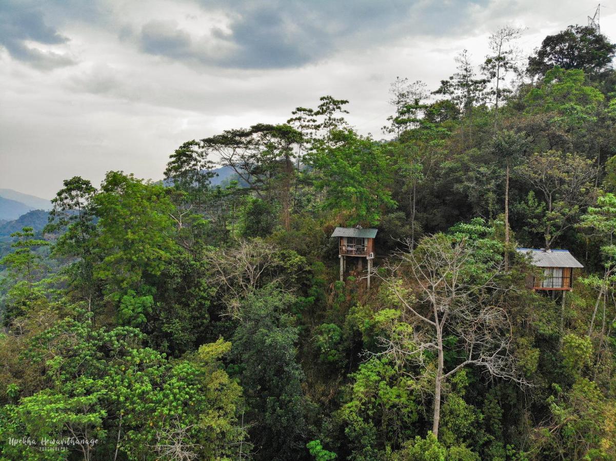 Tree Houses By Jungle River Ginigathena Exterior foto